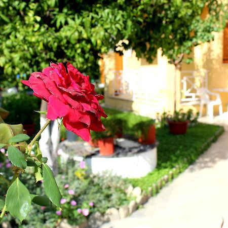 קאבוס Rantos Apartments מראה חיצוני תמונה